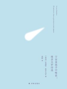 《宇宙来我手中啄食》维多夫罗诗选