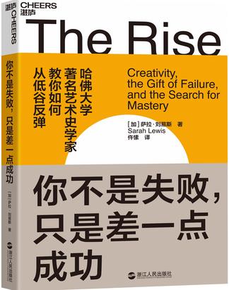 《你不是失败，只是差一点成功》萨拉·刘易斯_枫叶电子书网