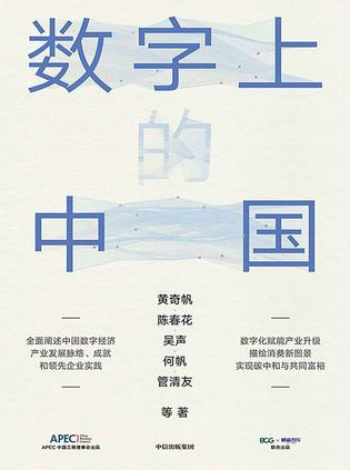 《数字上的中国》黄奇帆_枫叶电子书网