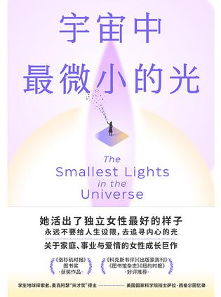 《宇宙中最微小的光》萨拉·西格尔(epub+mobi+azw3+pdf)_枫叶电子书网