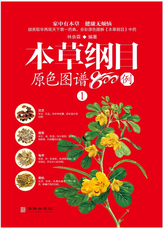 《本草纲目原色图谱800例》[套装4册]（epub+mobi+azw3+pdf）_枫叶电子书网
