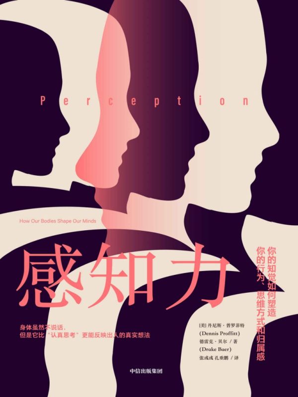 《感知力》丹尼斯·普罗菲特（epub+mobi+azw3+pdf）