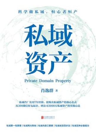 私域资产 (epub+mobi+pdf)_枫叶电子书网