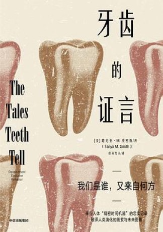 牙齿的证言 (epub+mobi+pdf)_枫叶电子书网