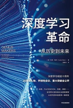 深度学习革命 : 从历史到未来 (epub+mobi+pdf)_枫叶电子书网