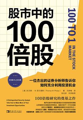 股市中的100倍股 （epub+mobi+pdf）_枫叶电子书网