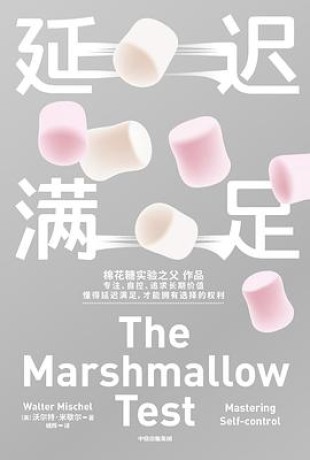 延迟满足 (epub+mobi+pdf)_枫叶电子书网