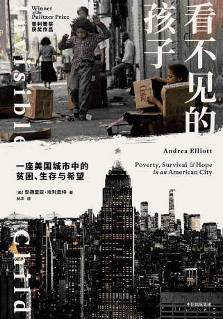 看不见的孩子 :一座美国城市中的贫困、生存与希望 (epub+mobi+pdf)_枫叶电子书网