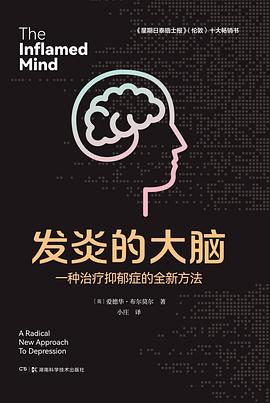 发炎的大脑 ：一种治疗抑郁症的全新方法 （epub+mobi+pdf）_枫叶电子书网