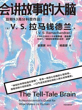 会讲故事的大脑 (epub+mobi+pdf)_枫叶电子书网