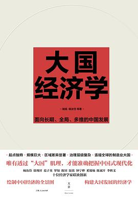 大国经济学 :面向长期、全局、多维的中国发展 (epub+mobi+pdf)_枫叶电子书网
