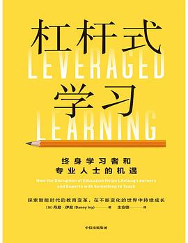 杠杆式学习 :终身学习者和专业人士的机遇 (epub+mobi+pdf)_枫叶电子书网