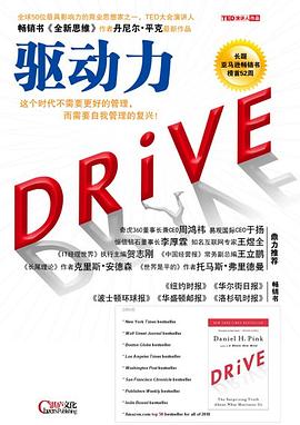 驱动力 ：在奖励与惩罚都已失效的当下 如何焕发人的热情 （epub+mobi+pdf）_枫叶电子书网