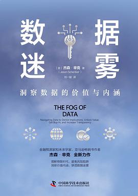 数据迷雾 ：洞察数据的价值与内涵 （epub+mobi+pdf）_枫叶电子书网