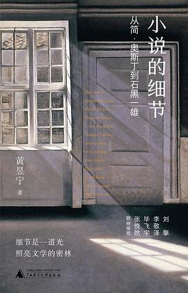 小说的细节 ：从简·奥斯丁到石黑一雄 （epub+mobi+pdf）_枫叶电子书网
