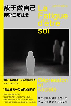 疲于做自己 ：抑郁症与社会 （epub+mobi+pdf）_枫叶电子书网