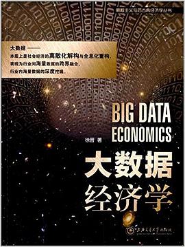大数据经济学 （epub+mobi+azw3+pdf）_枫叶电子书网