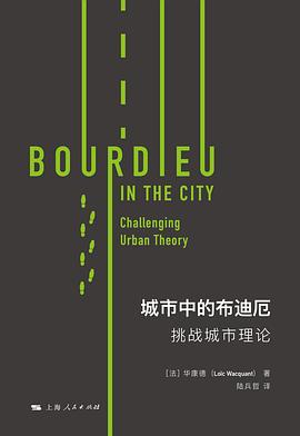 城市中的布迪厄 ：挑战城市理论 （epub+mobi+pdf）_枫叶电子书网