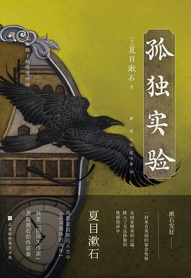 孤独实验 （epub+mobi+azw3+pdf）_枫叶电子书网