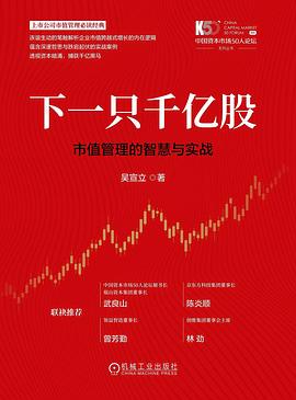 下一只千亿股 ：市值管理的智慧与实战 （epub+mobi+azw3+pdf）_枫叶电子书网