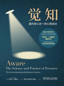 觉知 ：通向身心合一的心智成长 （epub+mobi+azw3+pdf）_枫叶电子书网