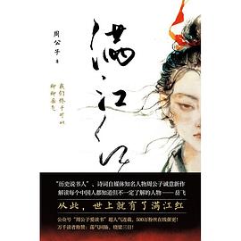 满江红：我们终于可以聊聊岳飞 （epub+mobi+azw3+pdf）_枫叶电子书网