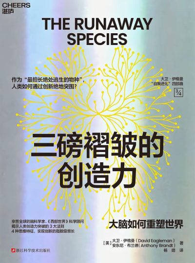 三磅褶皱的创造力 （epub+mobi+azw3+pdf）_枫叶电子书网