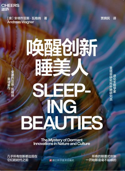 唤醒创新睡美人 （epub+mobi+azw3+pdf）_枫叶电子书网