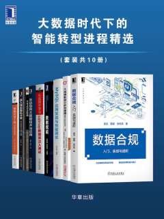 大数据时代下的智能转型进程精选（共十册）（epub+mobi+azw3+pdf）_枫叶电子书网