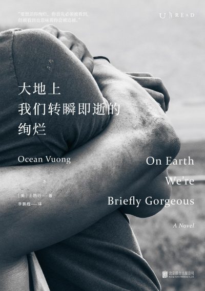 大地上我们转瞬即逝的绚烂 (epub+mobi+azw3+pdf) 大地上我们转瞬即逝的绚烂 (epub+mobi+azw3+pdf)