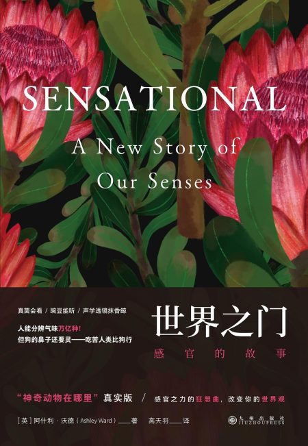 世界之门 :感官的故事 (epub+mobi+azw3+pdf) 世界之门 :感官的故事 (epub+mobi+azw3+pdf)