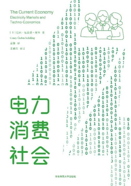 电力消费社会 （epub+mobi+azw3+pdf）_枫叶电子书网