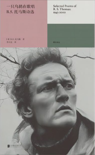 一只乌鸫在歌唱 :R.S.托马斯诗选 (epub+mobi+azw3+pdf) 一只乌鸫在歌唱 :R.S.托马斯诗选 (epub+mobi+azw3+pdf)