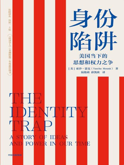 身份陷阱 ：美国当下的思想和权力之争 （epub+mobi+azw3+pdf）_枫叶电子书网